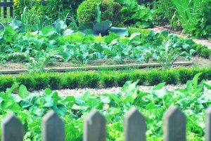 Der Bauerngarten im Schloss Ottersbach