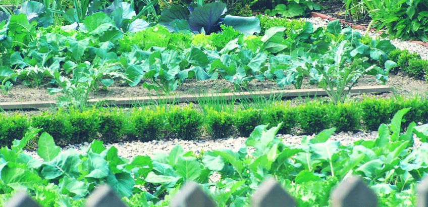 Der Bauerngarten im Schloss Ottersbach