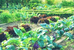 Der Bauerngarten im Schloss Ottersbach